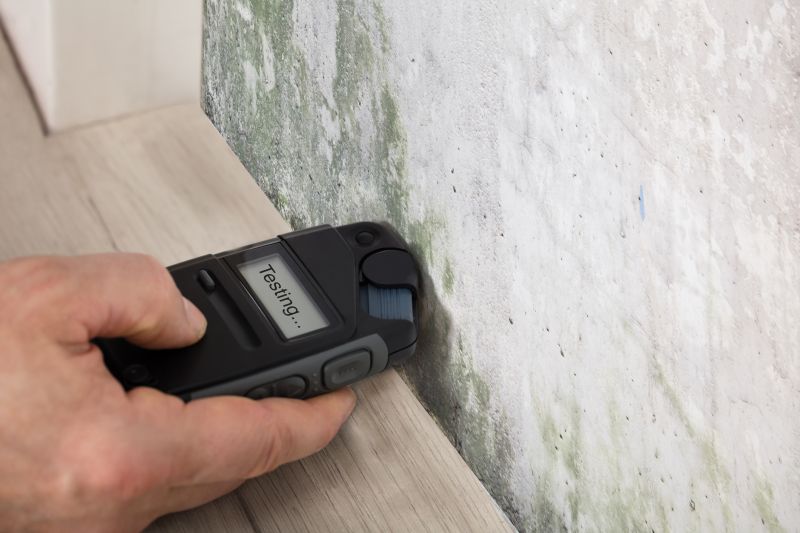 Mold Growth Detection