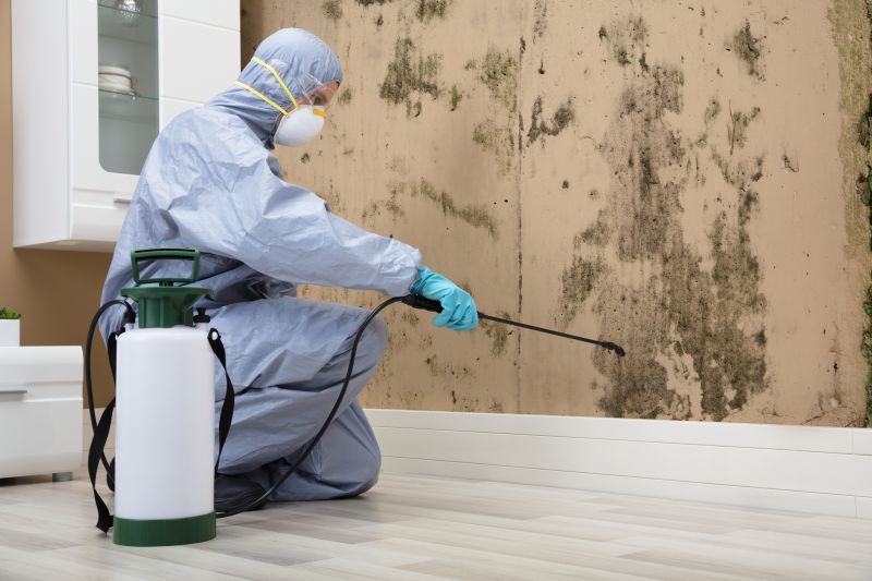 Mold Remediation Experts